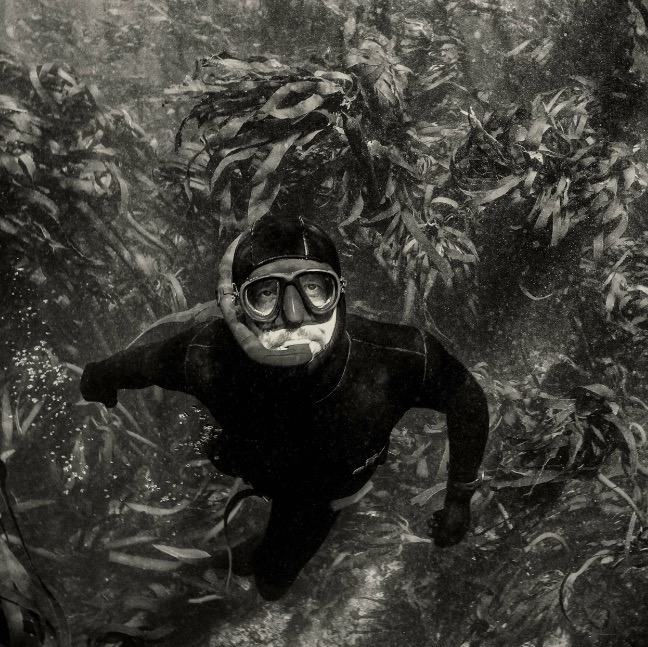 James Nestor freediving underwater surrounded by kelp